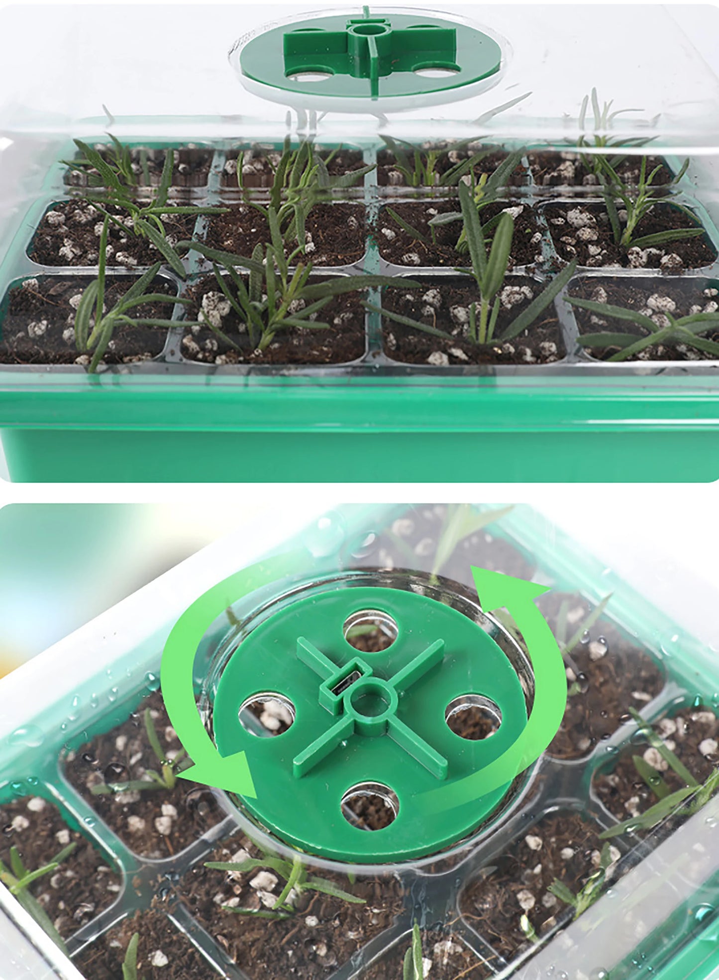 Germix - Bandeja de Germinação com Luz de Crescimento LED e 12 Células