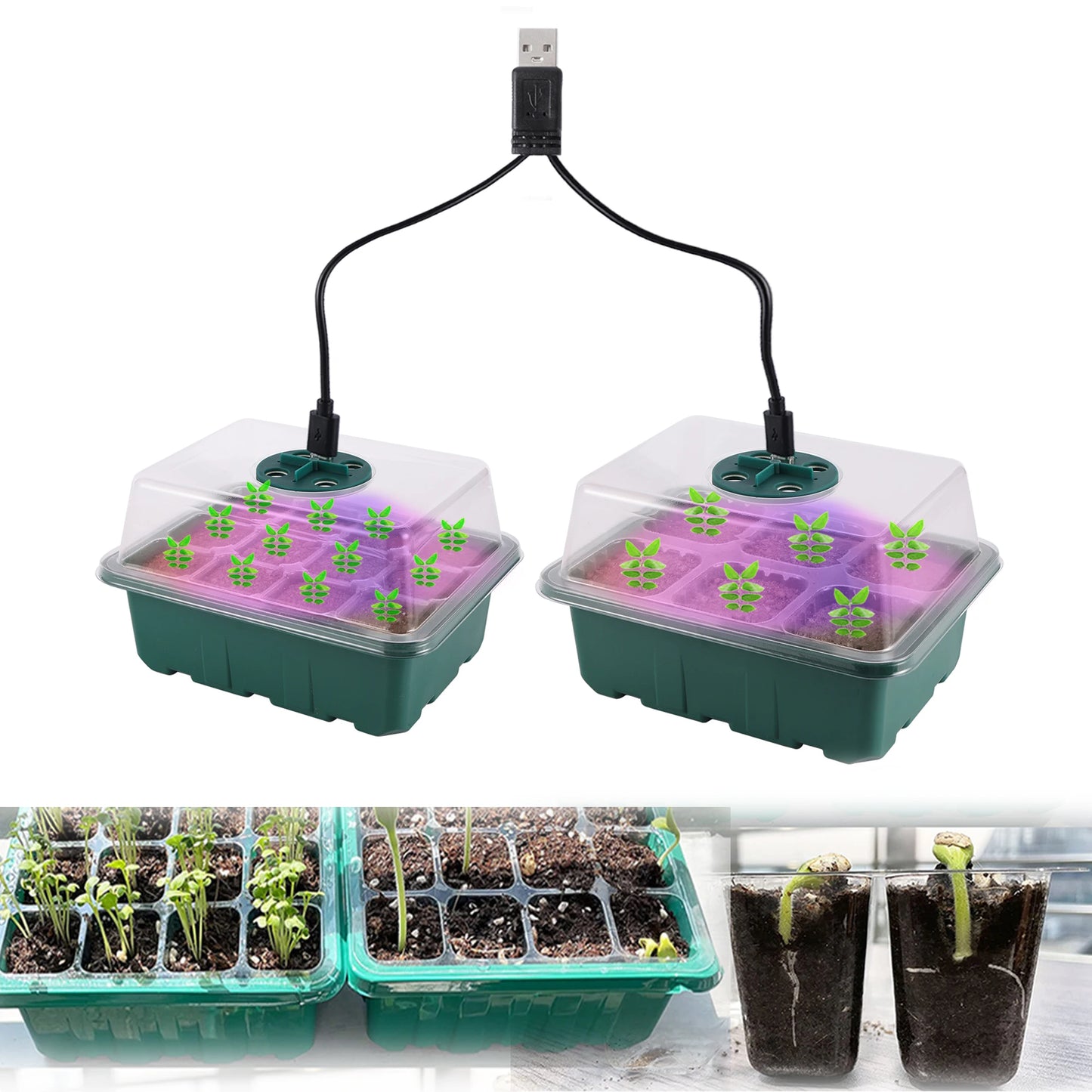 Germix - Bandeja de Germinação com Luz de Crescimento LED e 12 Células